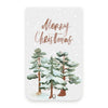 Snowy Pines