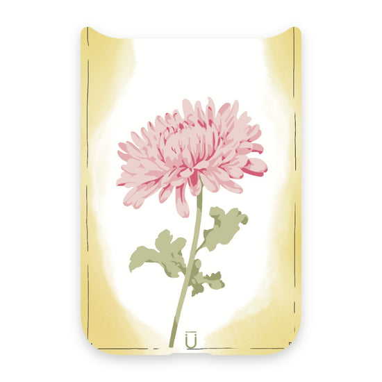 Birthday Month Flowers (Jul-Dec) - iPhone 17 Pro - November