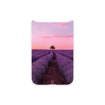 Pink Sunset (Back Only)