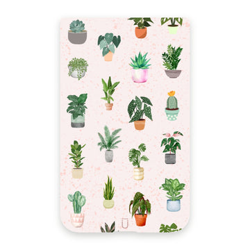 Potted Plants