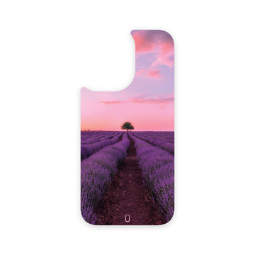 Pink Sunset (Back Only)