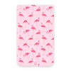 Flamingos