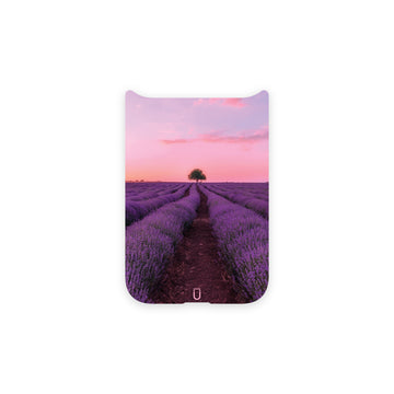Pink Sunset (Back Only)