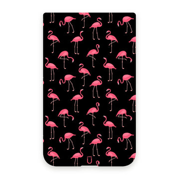 Flamingos