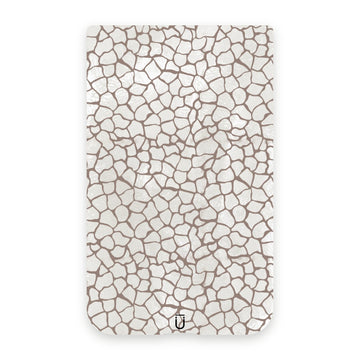 Desert Cracks
