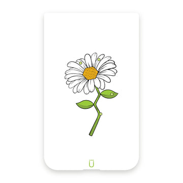 Adrenaline Daisy