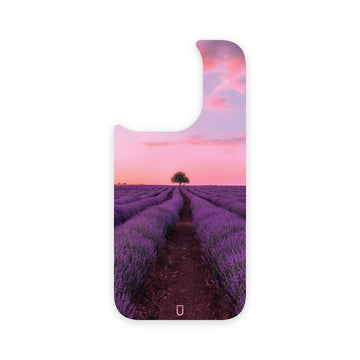 Pink Sunset (Back Only)