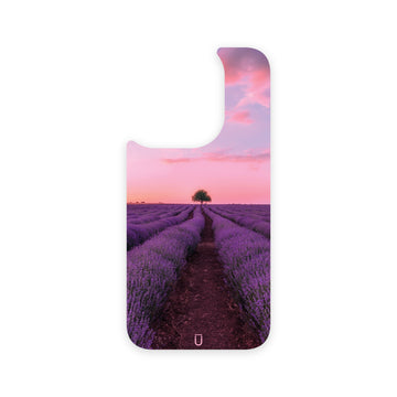 Pink Sunset (Back Only)