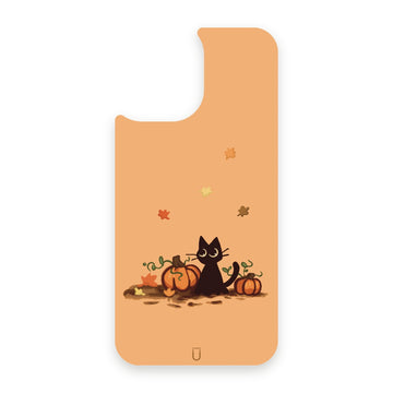 Amanda - Fall Kitty